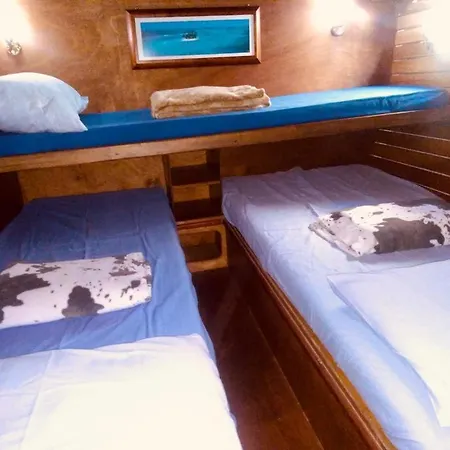 Hotel en barco Oceania Boat Tour *